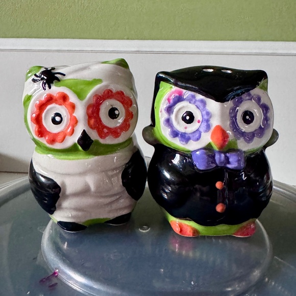 Other - Owl ceramic salt and pepper shakers multicolored